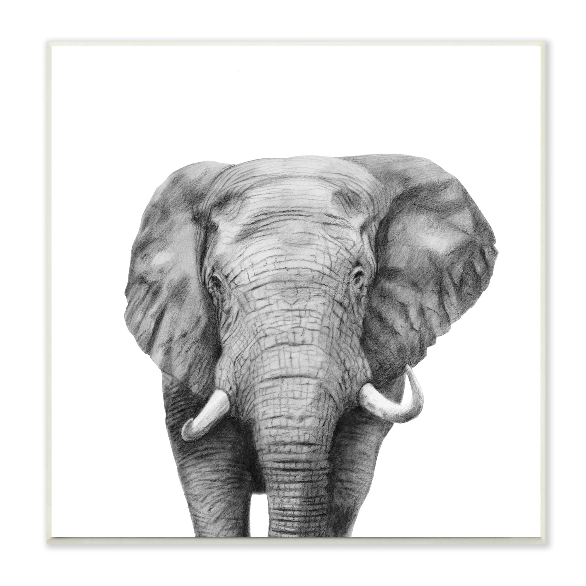 Stupell Industries Realistic Elephant Portrait Minimal Black White Wildlife Illustration, 12 x 12, Design by Victoria Borges