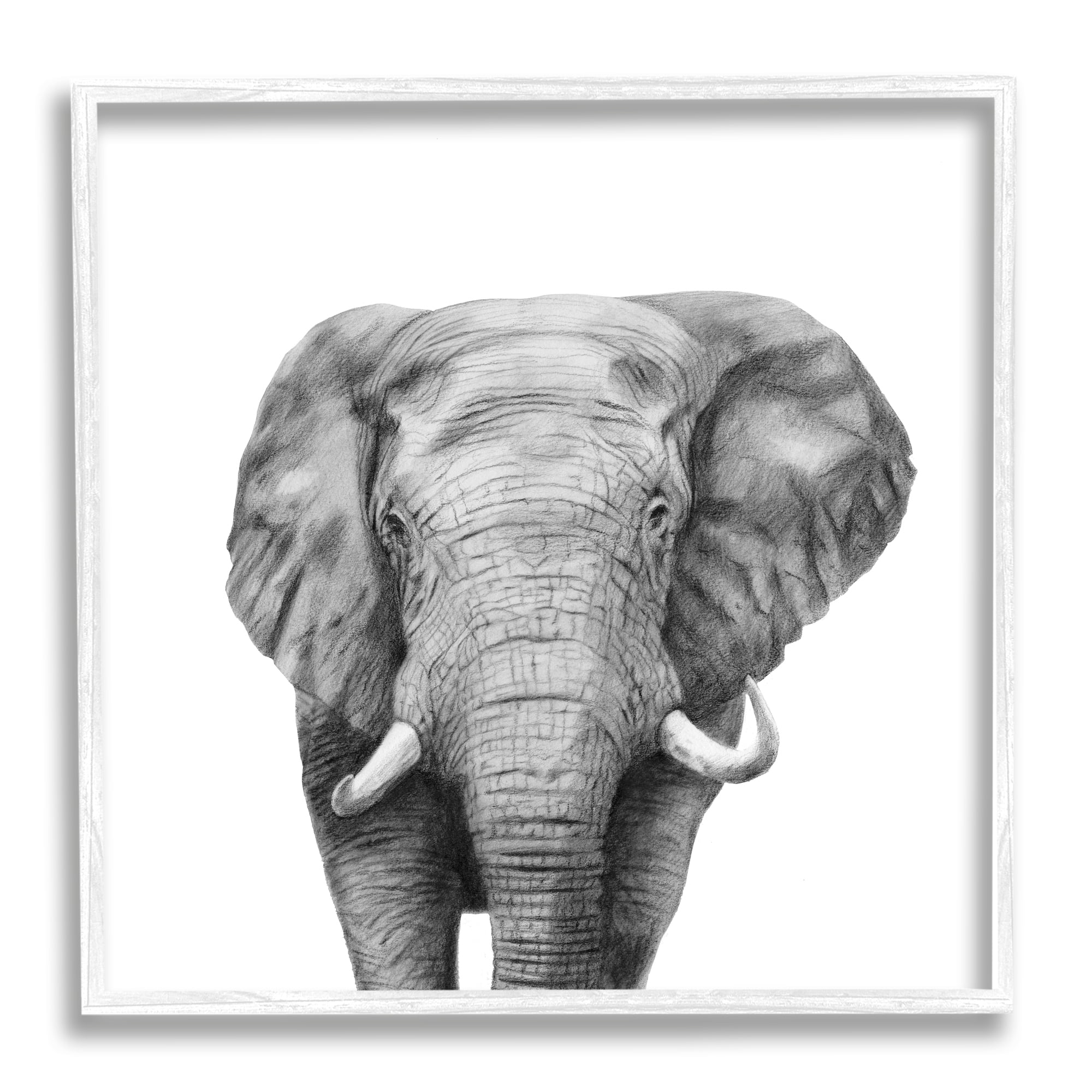 Stupell Industries Realistic Elephant Portrait Minimal Black White Wildlife Illustration, 24 x 24, Design by Victoria Borges