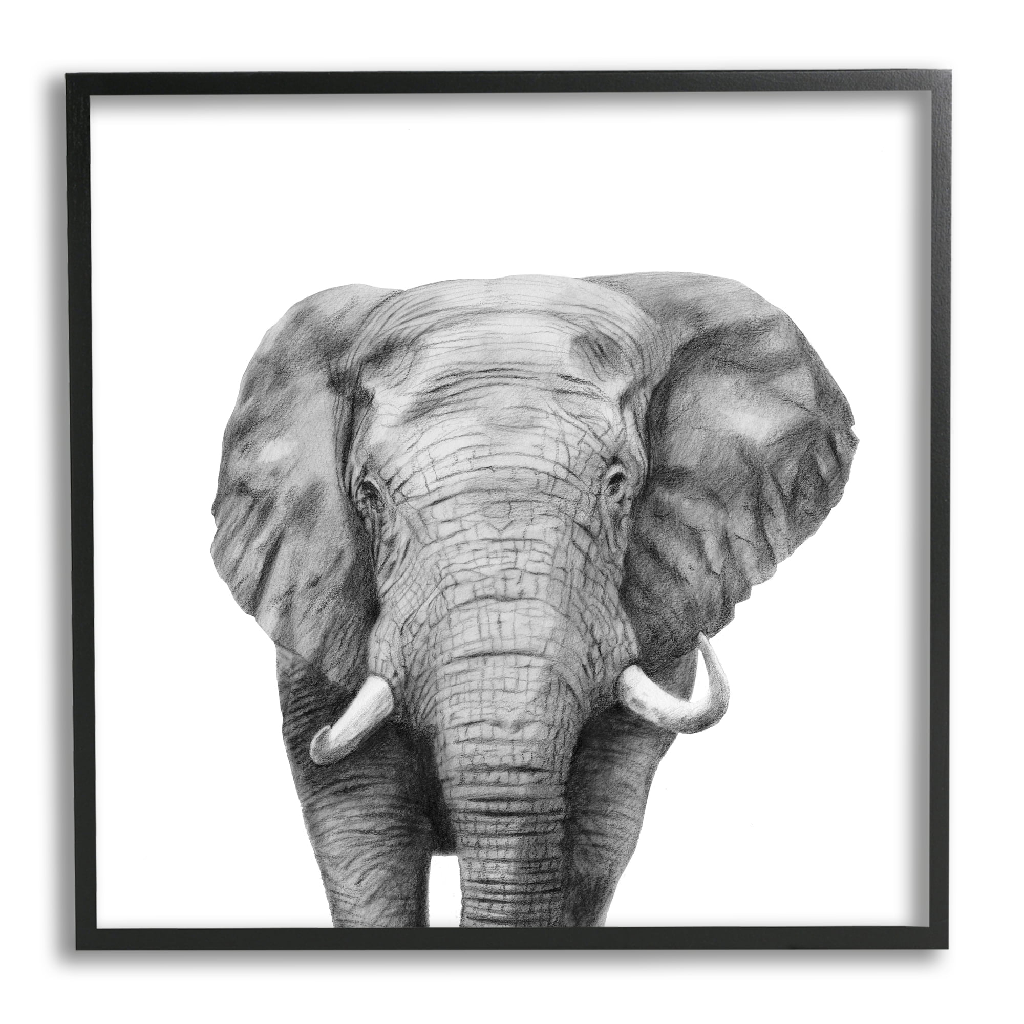 Stupell Industries Realistic Elephant Portrait Minimal Black White Wildlife Illustration, 24 x 24, Design by Victoria Borges