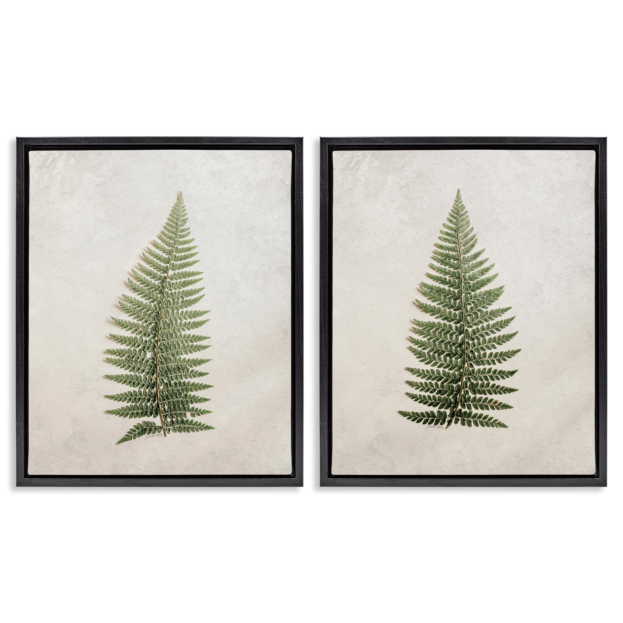 Stupell Industries Realistic Fern Leaves Plants & Flowers Painting Black Floater Framed Canvas Art Print Wall Art, 31 x 25, Set of 2