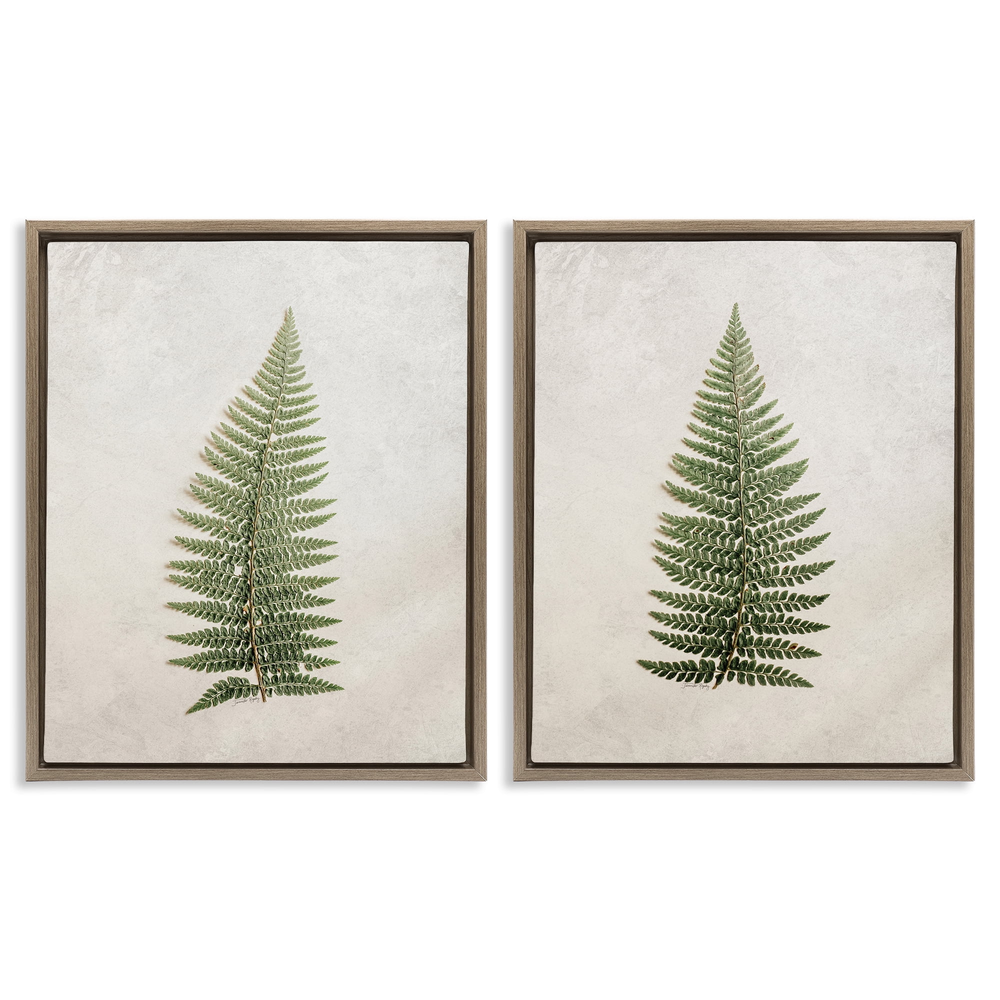 Stupell Industries Realistic Fern Leaves Plants & Flowers Painting Brown Floater Framed Canvas Art Print Wall Art, 31 x 25, Set of 2