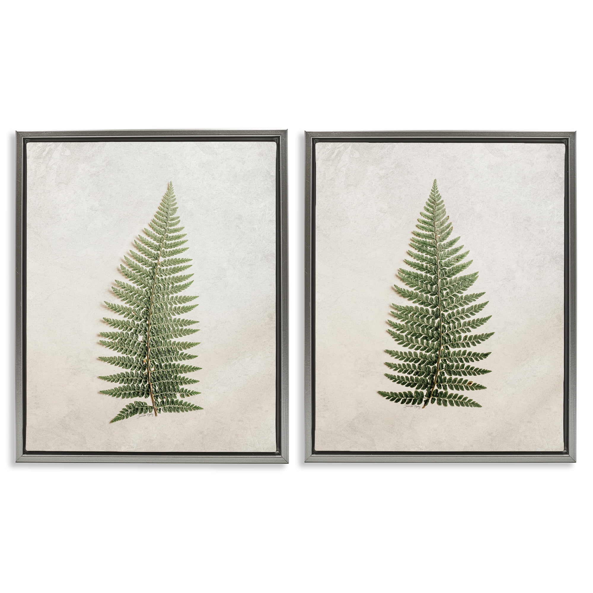 Stupell Industries Realistic Fern Leaves Plants & Flowers Painting Gray Floater Framed Canvas Art Print Wall Art, 31 x 25, Set of 2