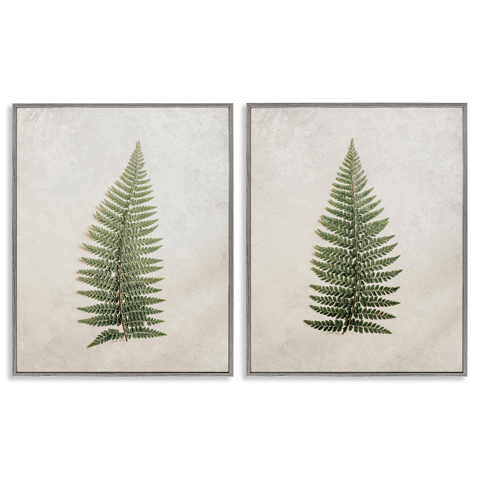 Stupell Industries Realistic Fern Leaves Plants & Flowers Painting Gray Framed Art Print Wall Art, 24 x 30, Set of 2
