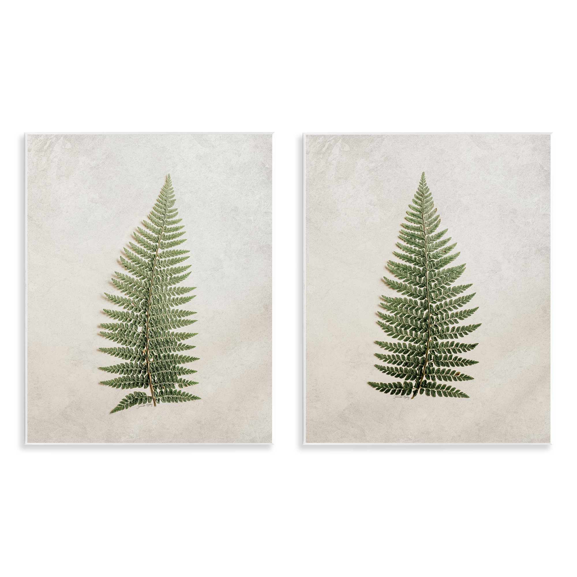 Stupell Industries Realistic Fern Leaves Plants & Flowers Painting Unframed Art Print Wall Art, 11 x 14, Set of 2