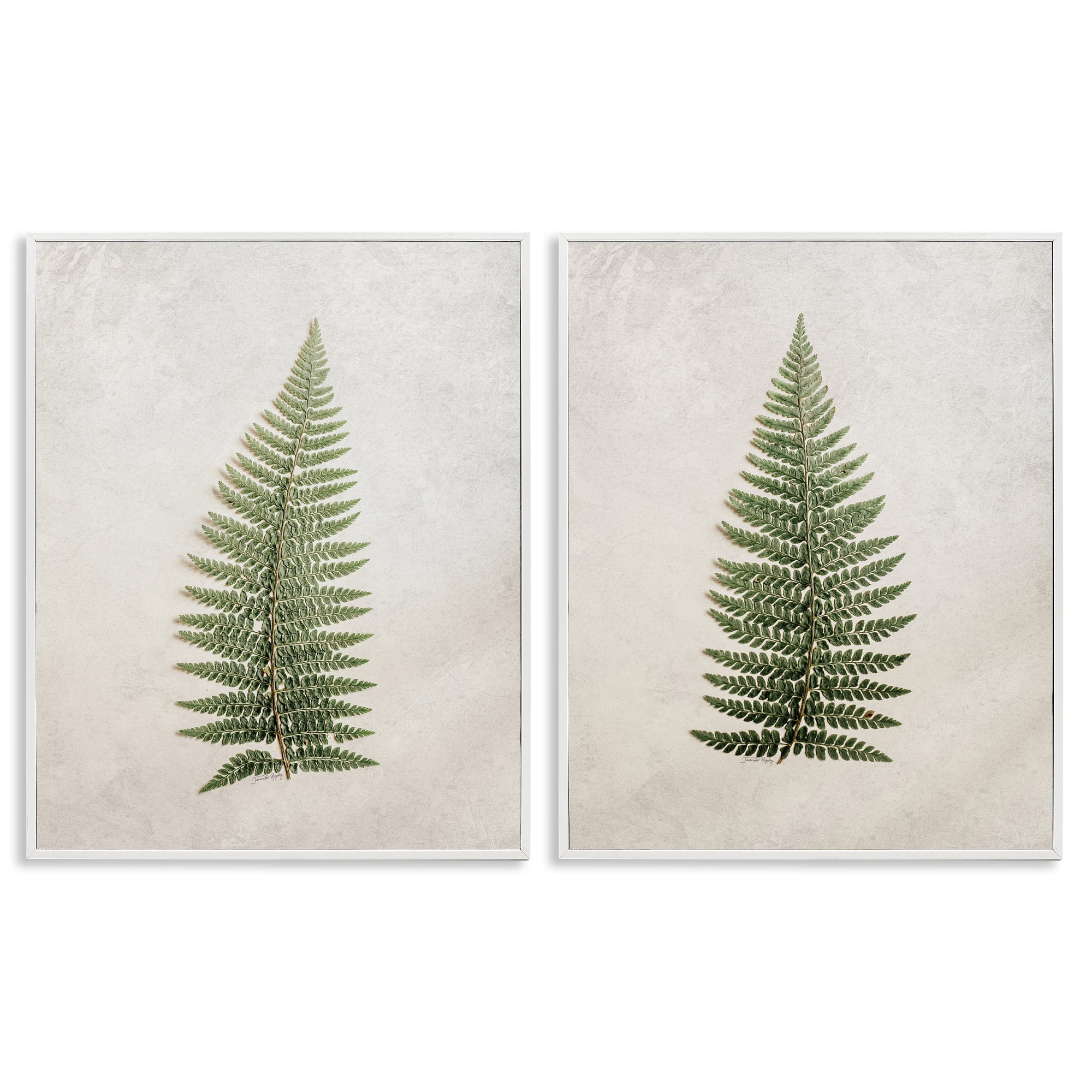 Stupell Industries Realistic Fern Leaves Plants & Flowers Painting White Framed Art Print Wall Art, 11 x 14, Set of 2