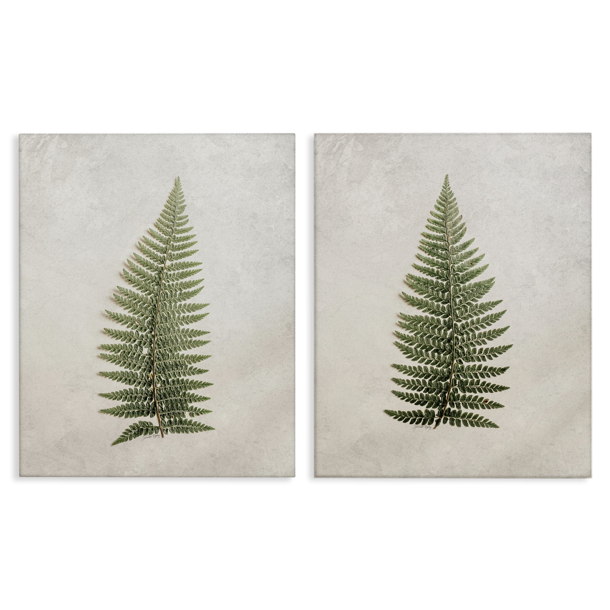 Stupell Industries Realistic Fern Leaves Plants & Flowers Painting Wrapped Canvas Art Print Wall Art, 16 x 20, Set of 2