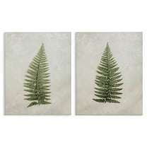 Stupell Industries Realistic Fern Leaves Plants & Flowers Painting Wrapped Canvas Art Print Wall Art, 16 x 20, Set of 2
