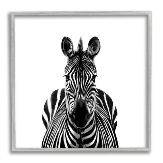 Stupell Industries Realistic Zebra Portrait Minimal Black White Wildlife Illustration, 12 x 12, Design by Victoria Borges