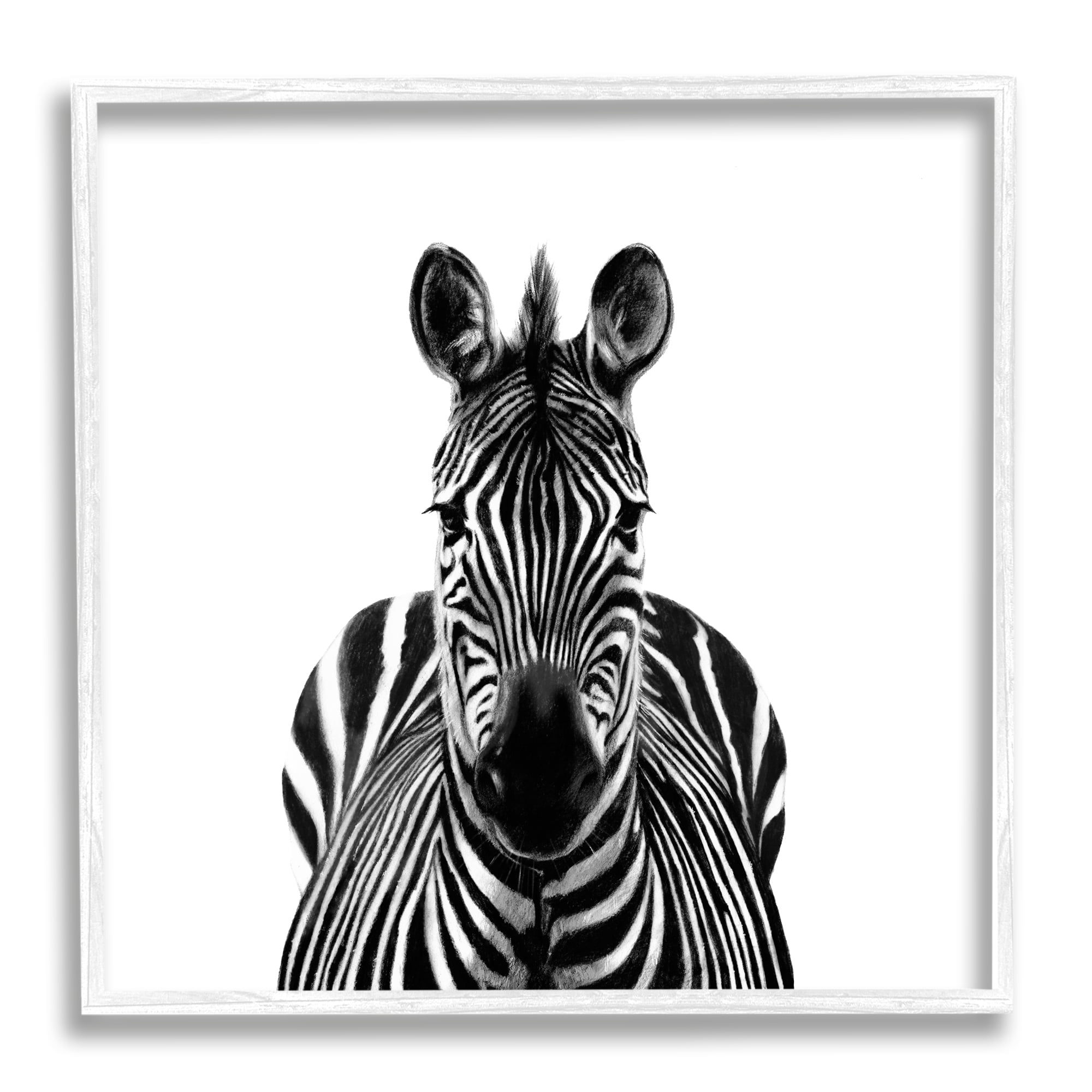 Stupell Industries Realistic Zebra Portrait Minimal Black White Wildlife Illustration, 17 x 17, Design by Victoria Borges