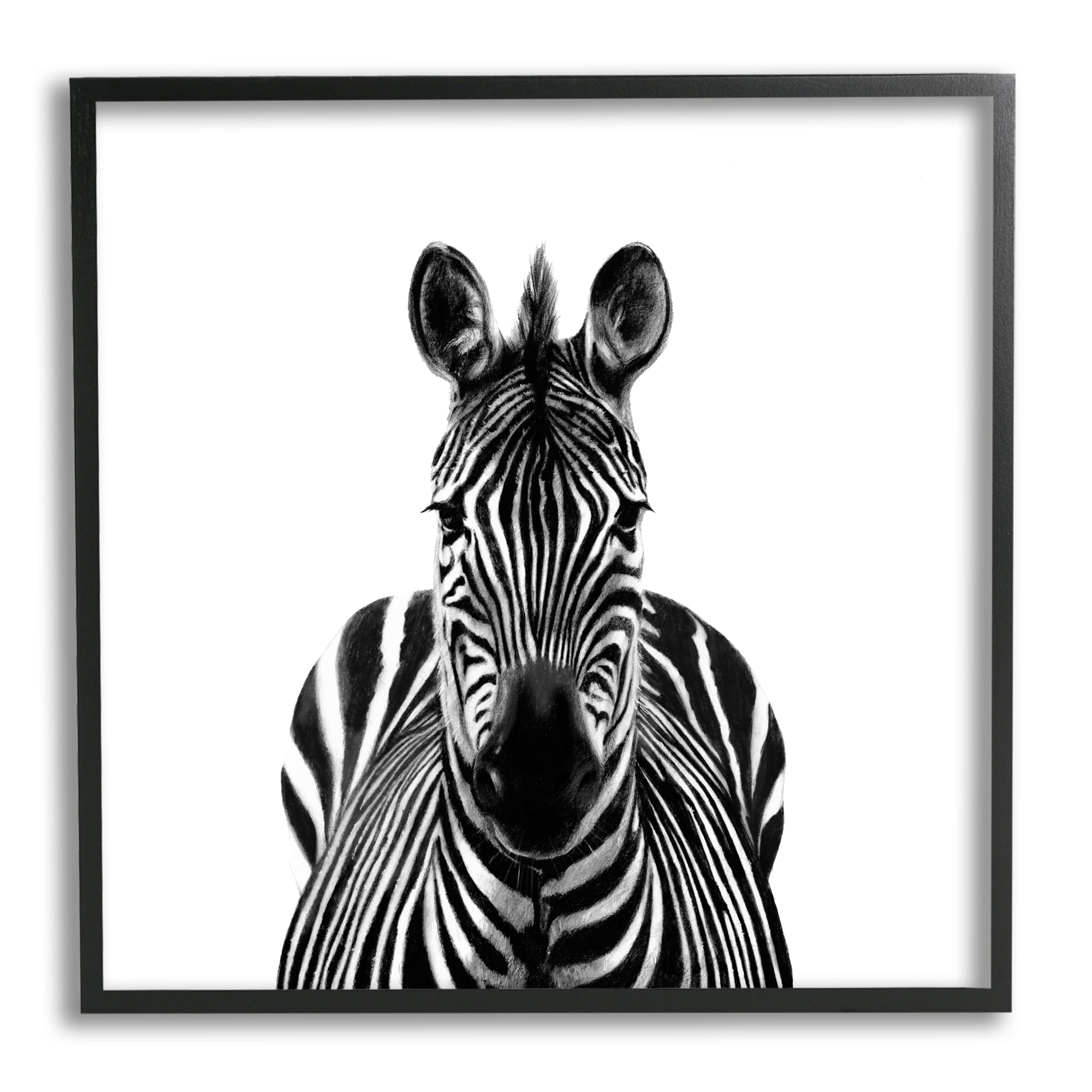 Stupell Industries Realistic Zebra Portrait Minimal Black White Wildlife Illustration, 24 x 24, Design by Victoria Borges