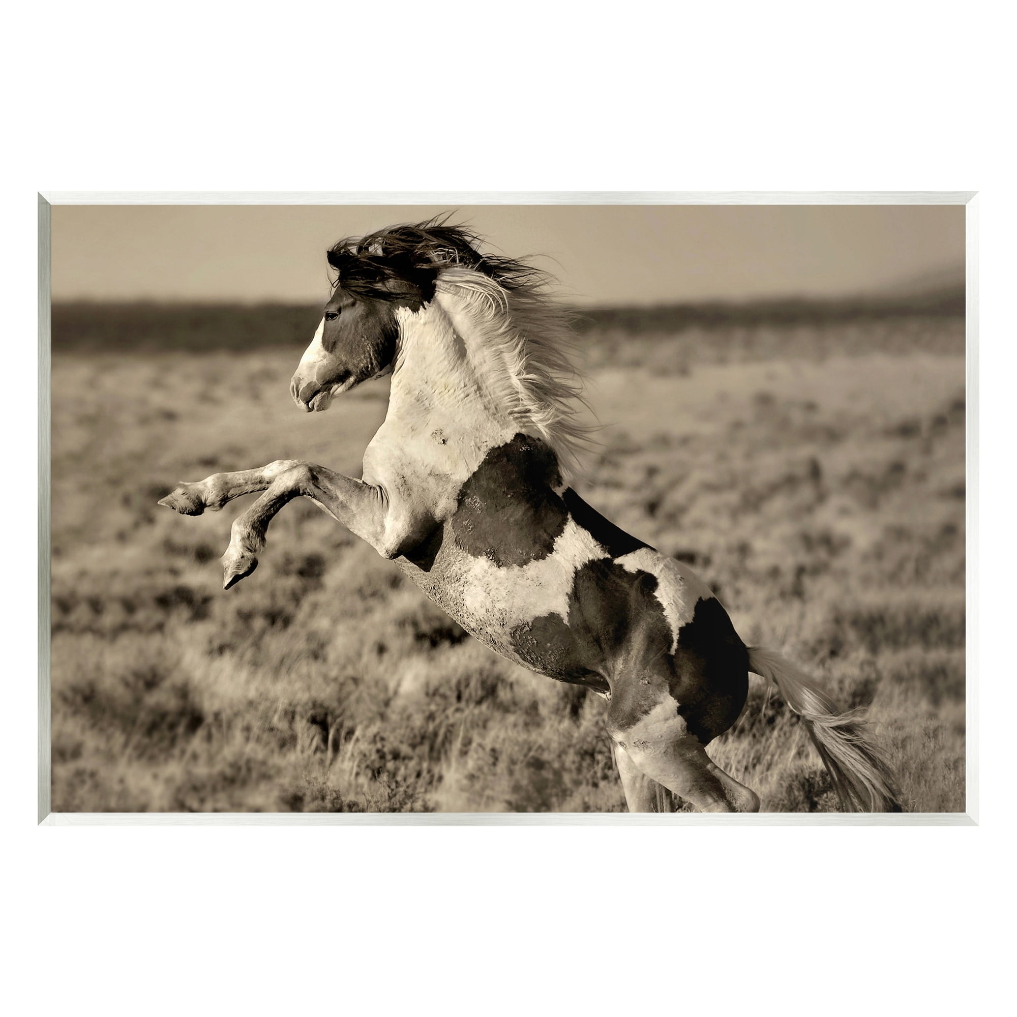 Stupell Industries Rearing Spotted Horse Rural Countryside Field Photography Photograph Unframed Art Print Wall Art, Design by Lisa Dearing