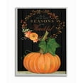 thumbnail image 1 of Stupell Industries Reasons To Be Thankful Pumpkin Fall Autumn Seasonal Design Framed Wall Art by Stephanie Workman Marrott, 1 of 8