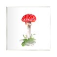 thumbnail image 1 of Stupell Industries Red Abstract Mushroom Botanical & Floral Painting Unframed Art Print Wall Art, 12 x 12, 1 of 7