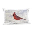 thumbnail image 1 of Stupell Industries Red Cardinal in Snow Design by Stephanie Fielden Outdoor Printed Pillow, 1 of 6