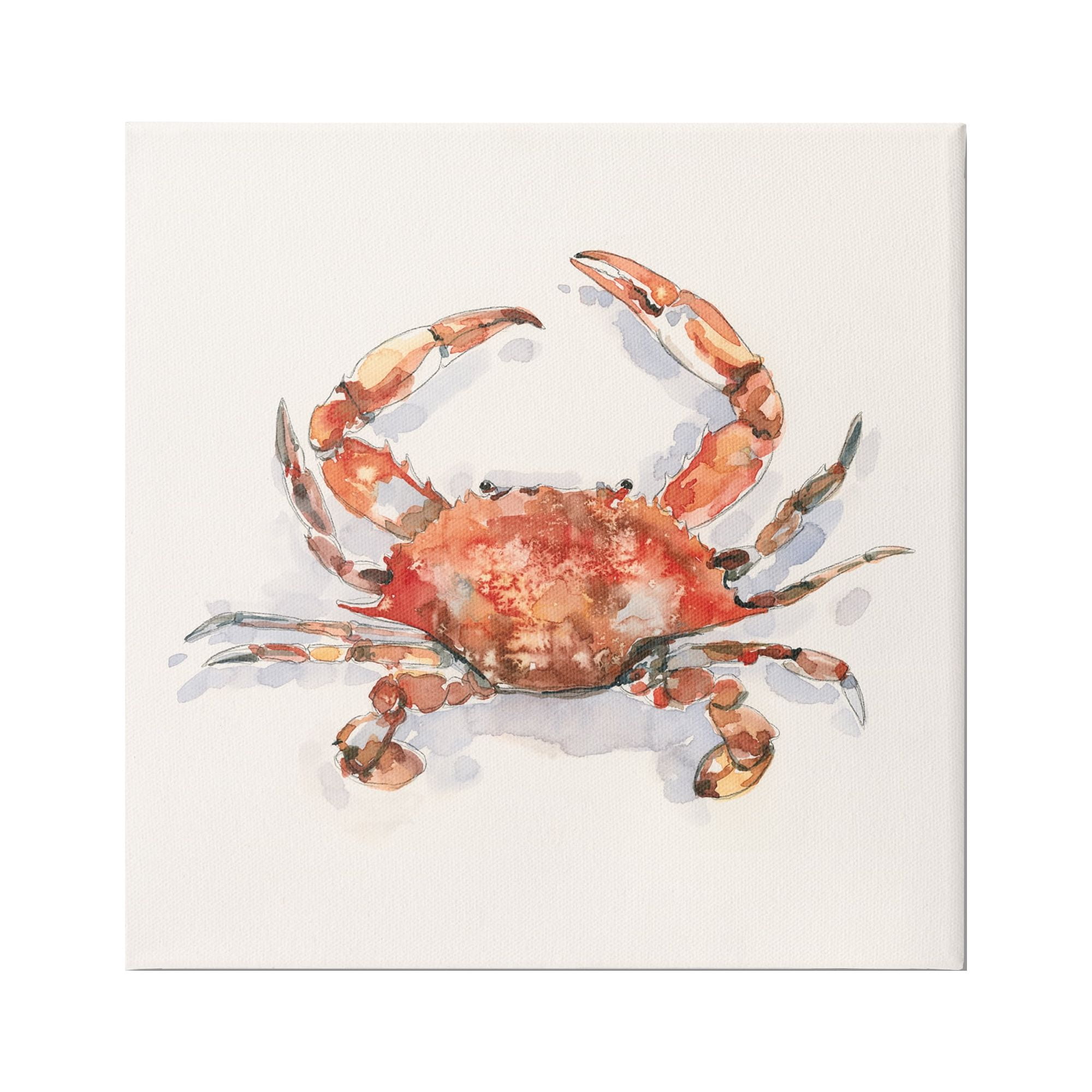 Stupell Industries Red Crab Marine Animal Animals & Insects Painting Gallery Wrapped Canvas Print Wall Art, 17 x 17