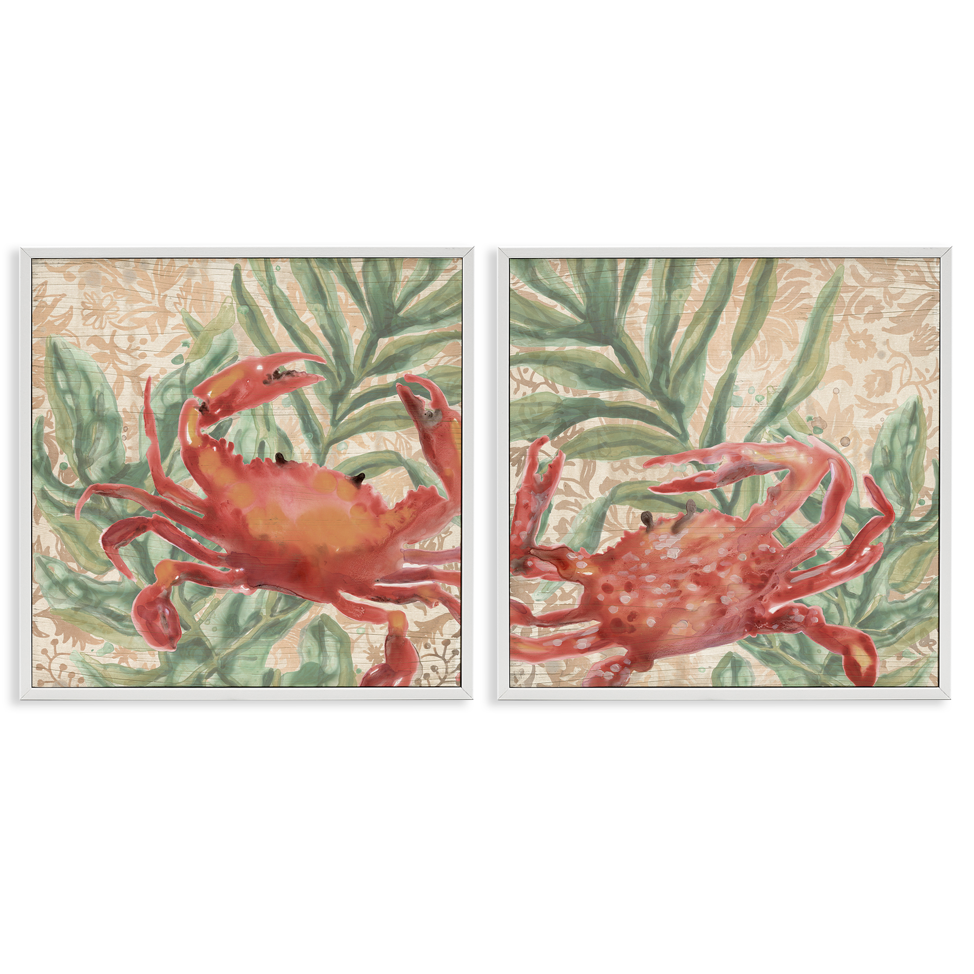 Stupell Industries Red Crab & Seaweed Animals Painting White Framed Art Print Wall Art, 12 x 12, Set of 2
