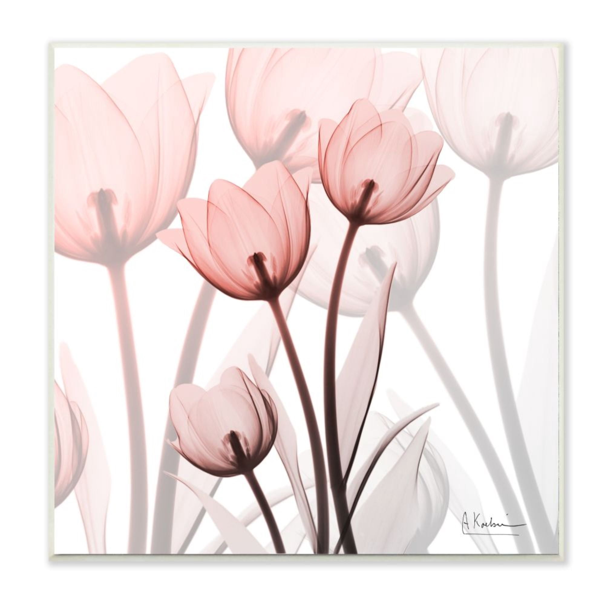Stupell Industries Red Floral Silhouettes Modern Floral Photograph Design by Albert Koetsier