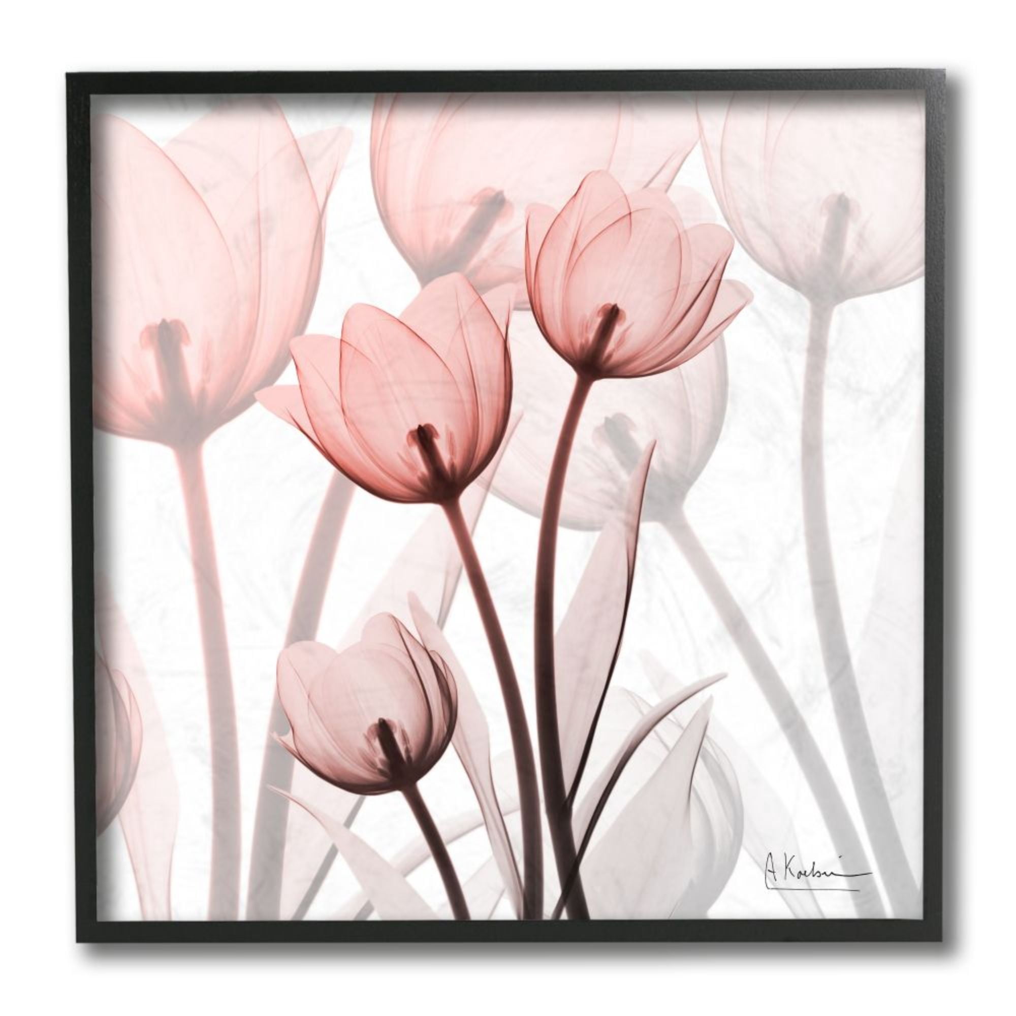 Stupell Industries Red Floral Silhouettes Modern Floral Photograph Design by Albert Koetsier