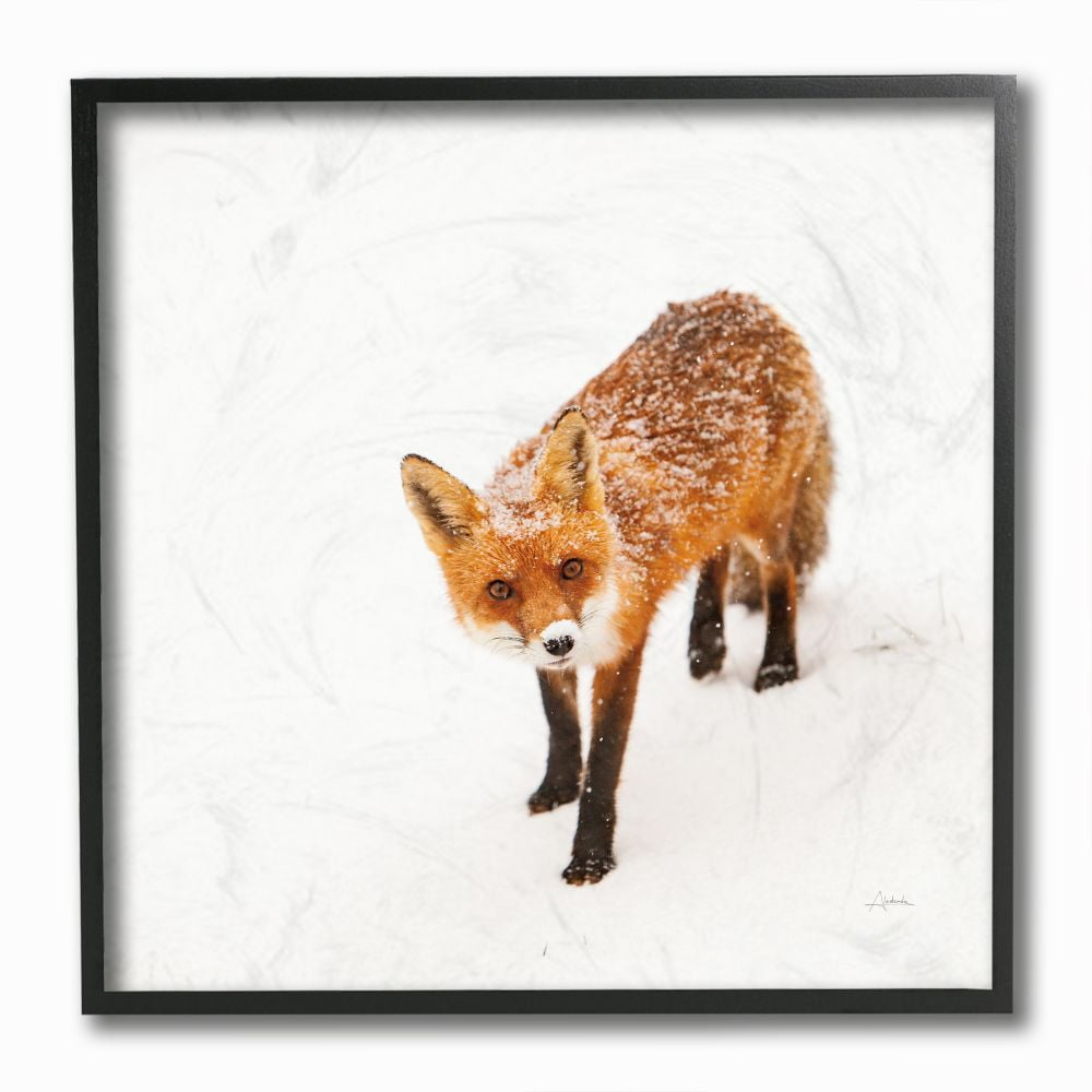 Stupell Industries Red Fox Winter Snow Animal Photograph Framed Wall Art by aledanda