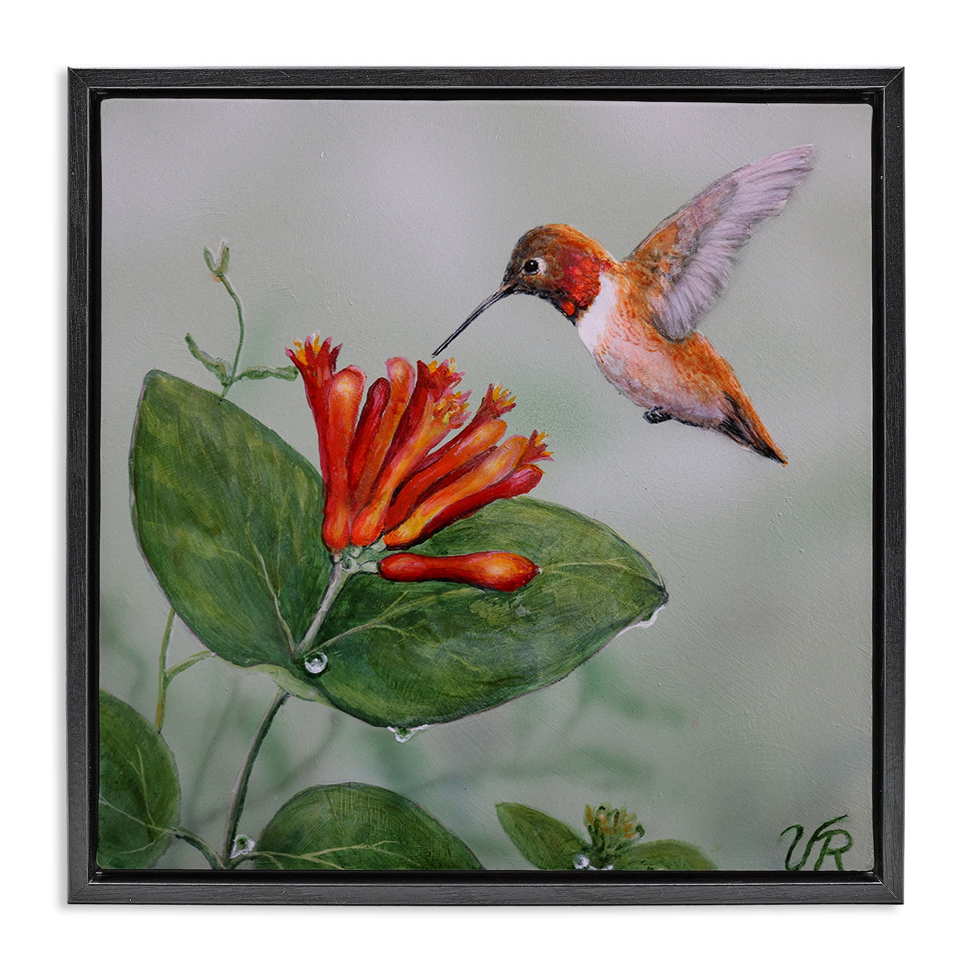 Stupell Industries Red Hummingbird & Flower Animals Painting Black Floater Framed Canvas Art Print Wall Art, 25 x 25