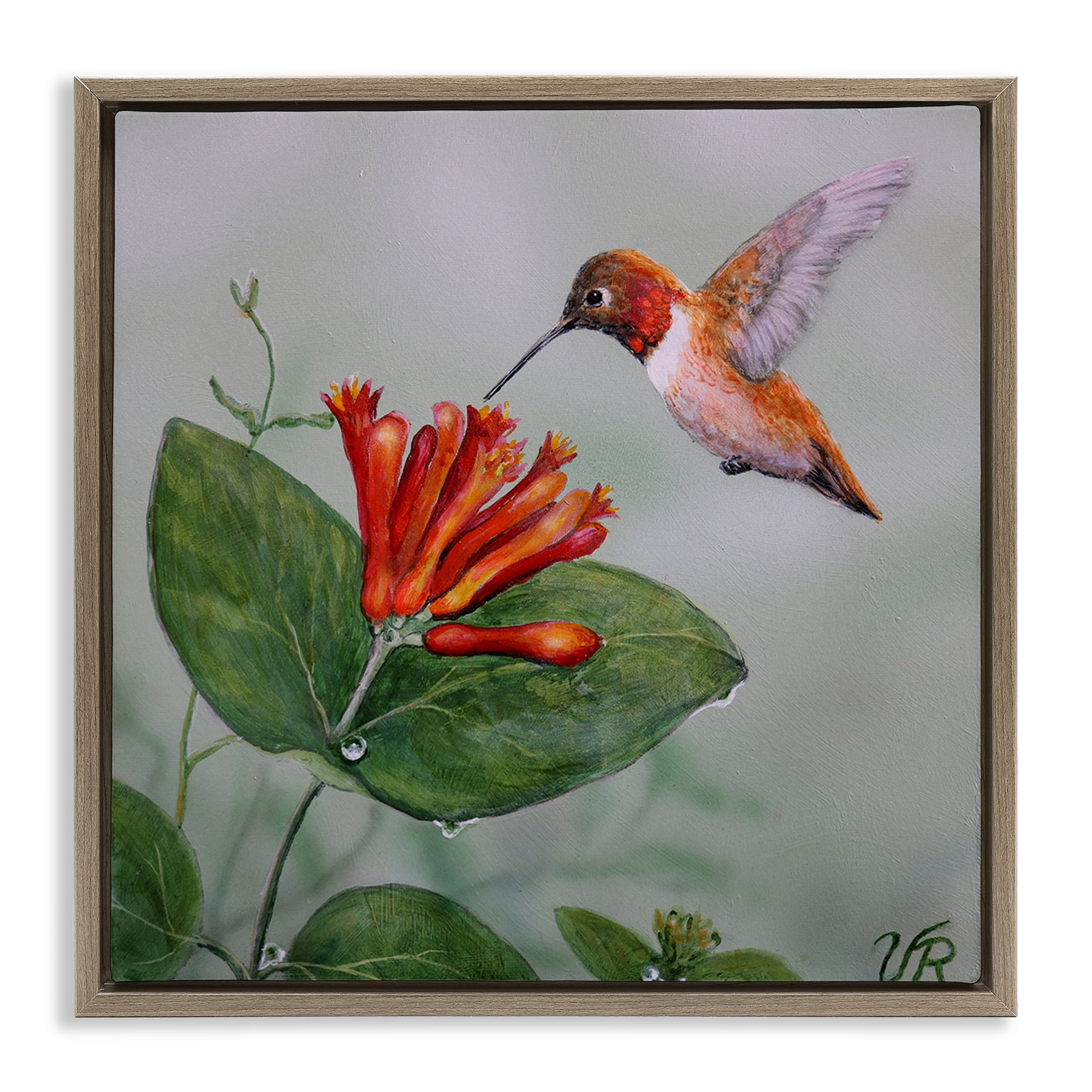 Stupell Industries Red Hummingbird & Flower Animals Painting Brown Floater Framed Canvas Art Print Wall Art, 18 x 18