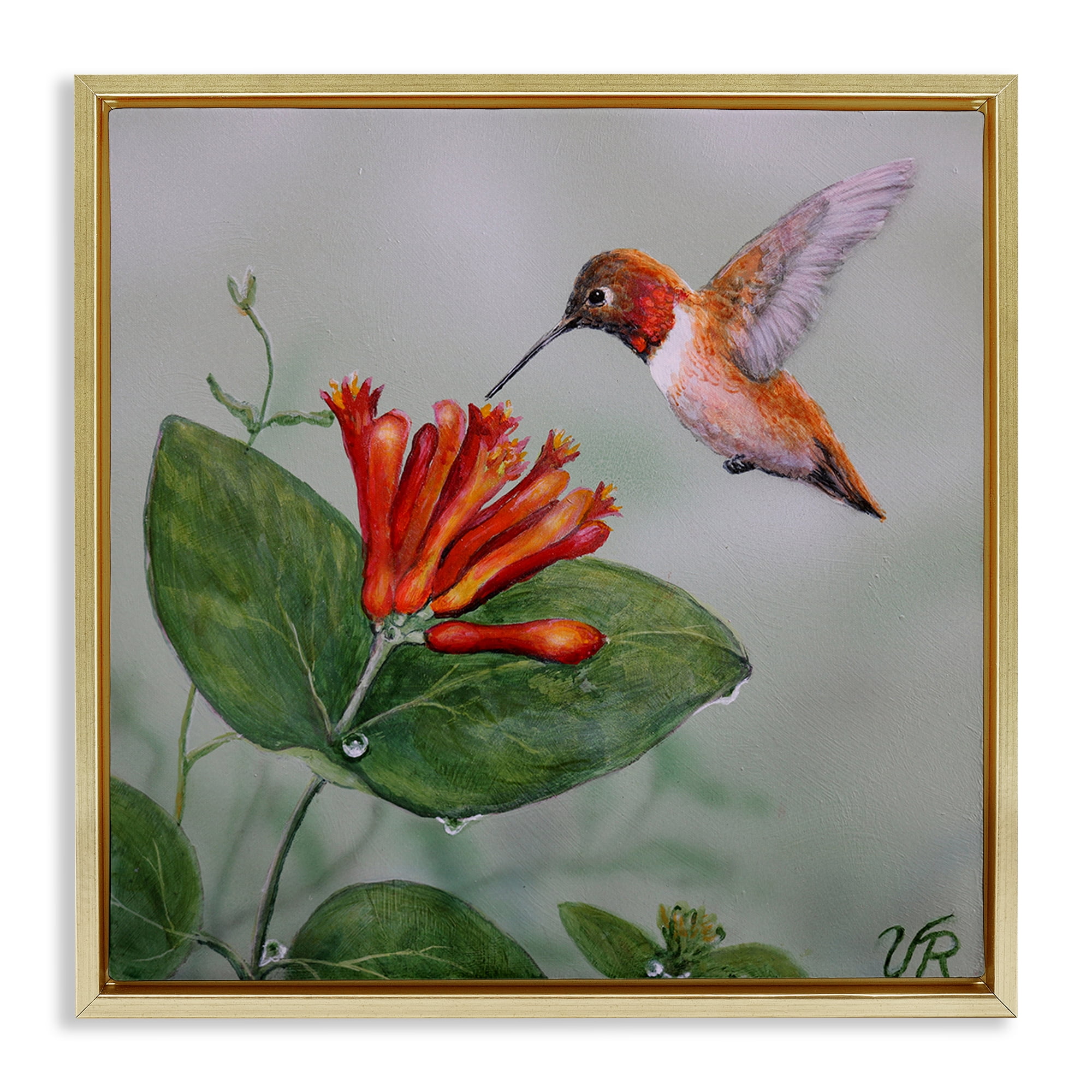 Stupell Industries Red Hummingbird & Flower Animals Painting Gold Floater Framed Canvas Art Print Wall Art, 18 x 18