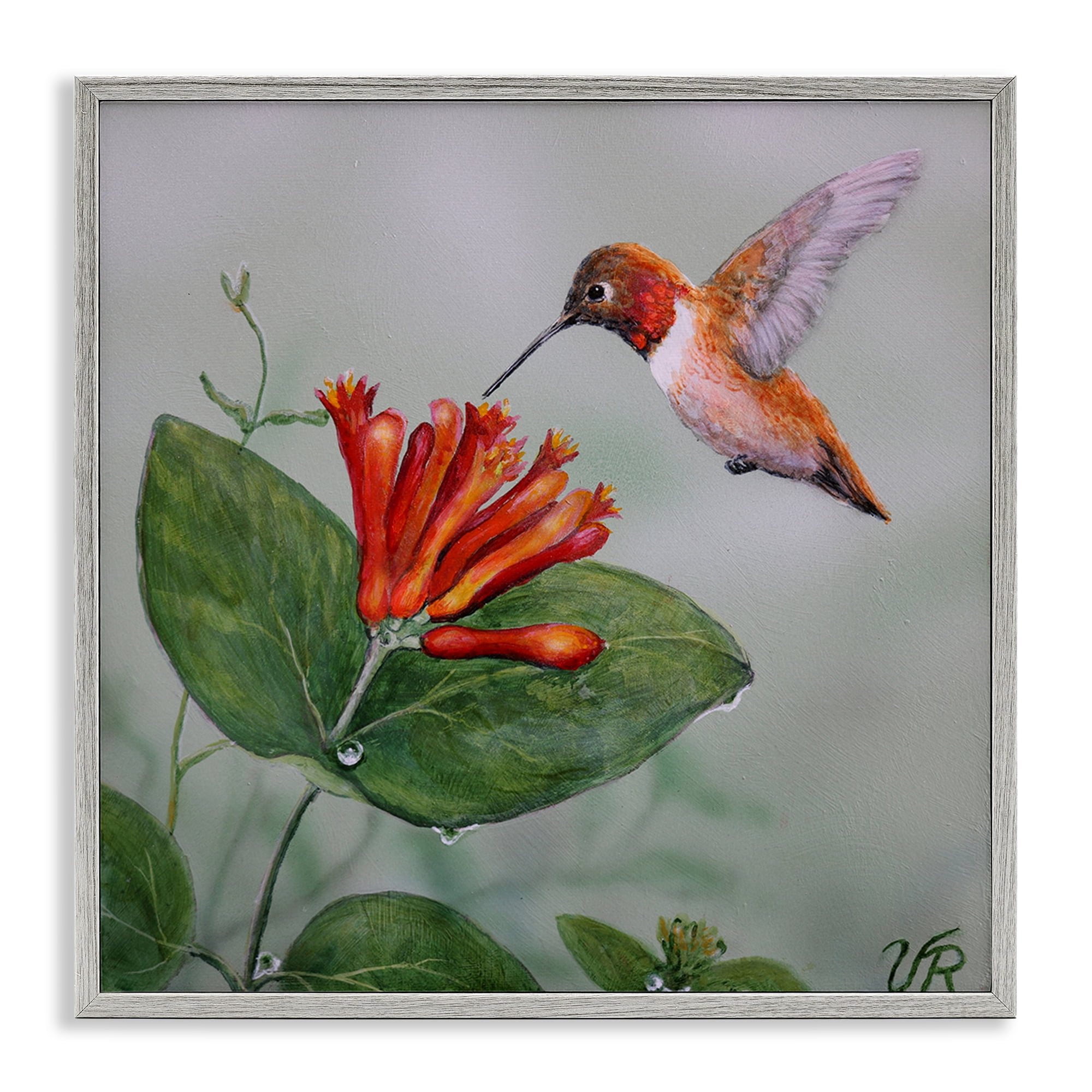 Stupell Industries Red Hummingbird & Flower Animals Painting Gray Framed Art Print Wall Art, 17 x 17