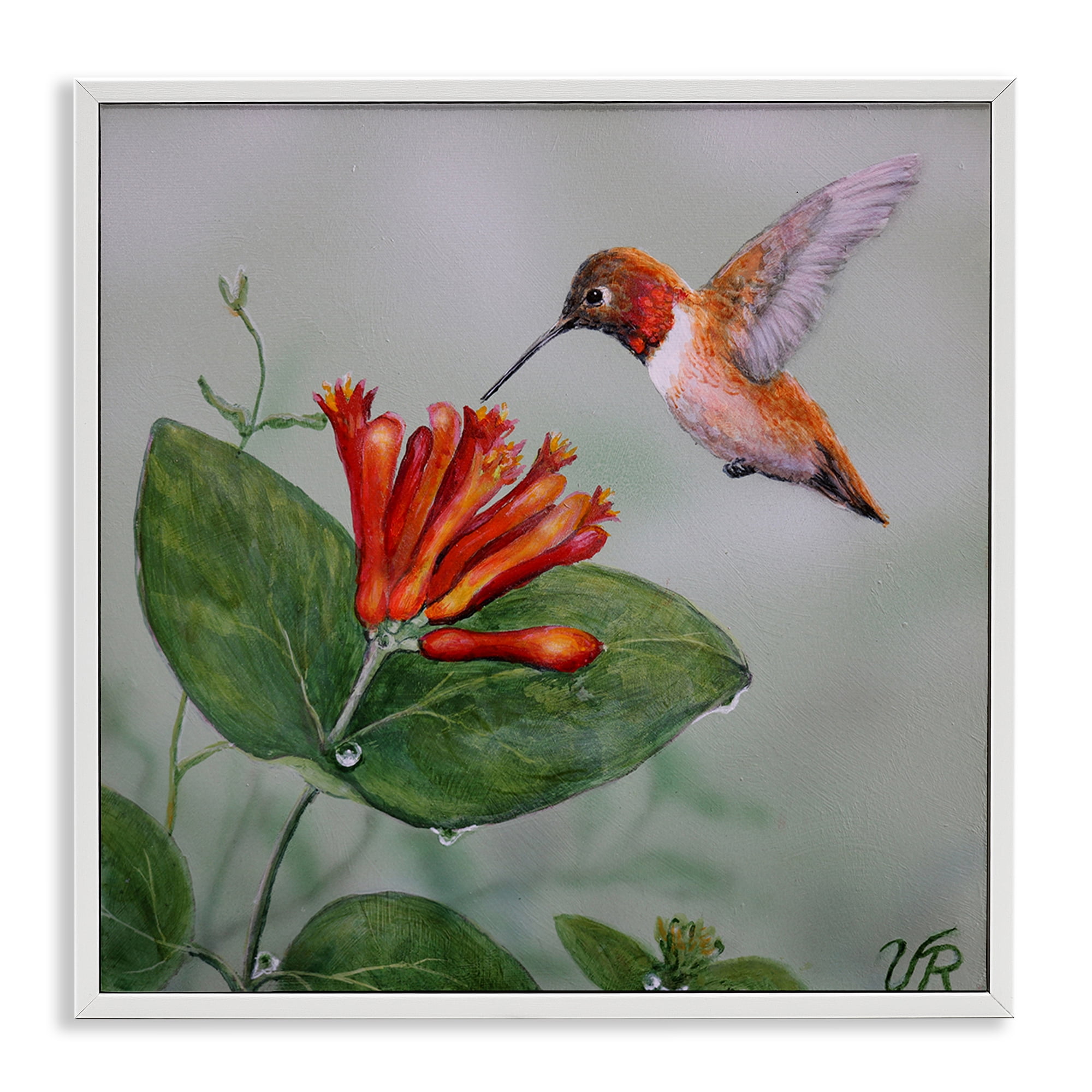 Stupell Industries Red Hummingbird & Flower Animals Painting White Framed Art Print Wall Art, 12 x 12