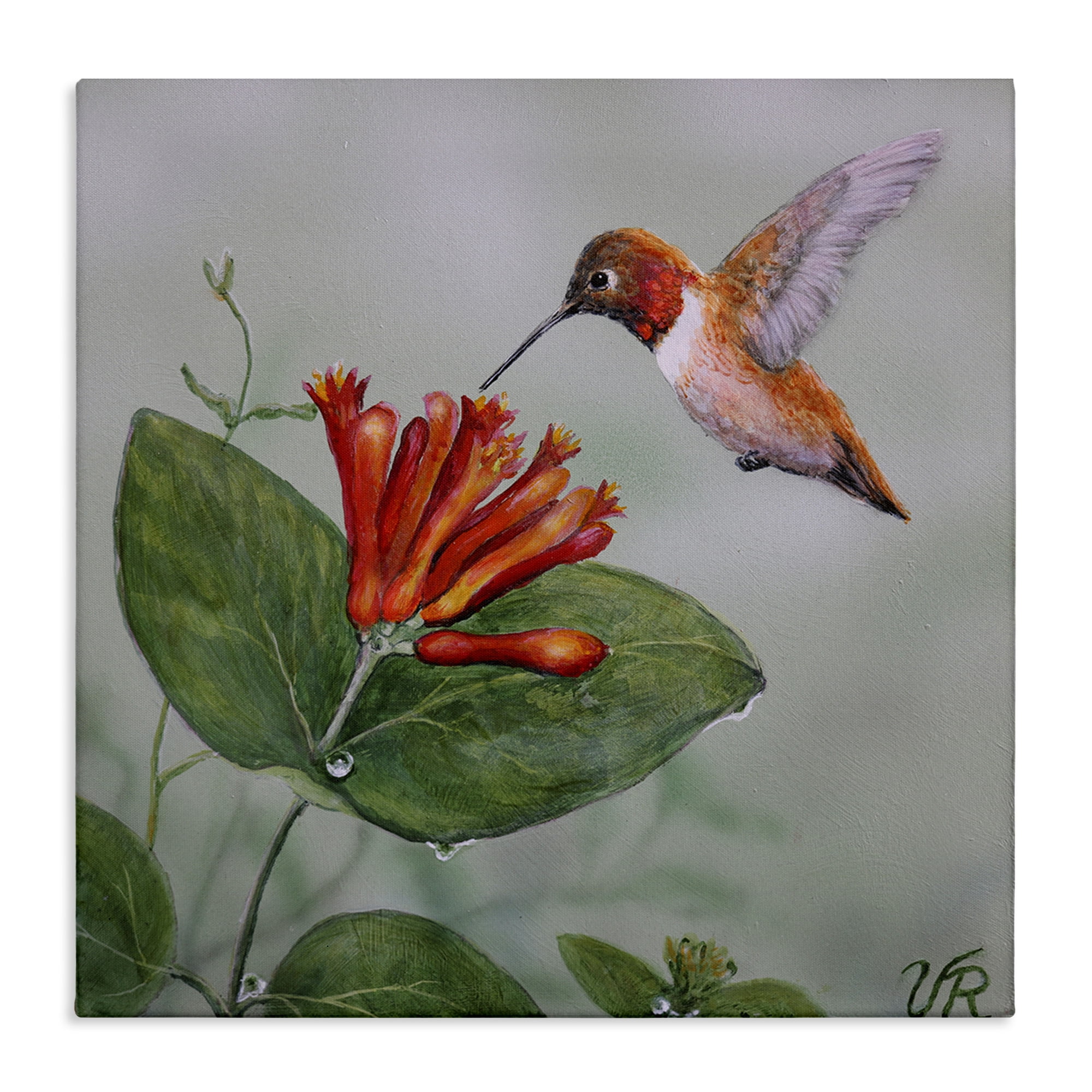 Stupell Industries Red Hummingbird & Flower Animals Painting Wrapped Canvas Art Print Wall Art, 36 x 36