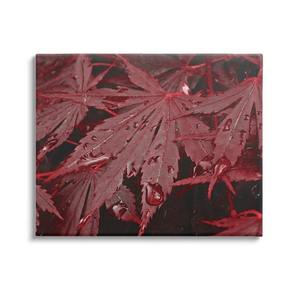 Stupell Industries Red Maple Leaves Botanical & Floral Photography Gallery Wrapped Canvas Print Wall Art, 20 x 16