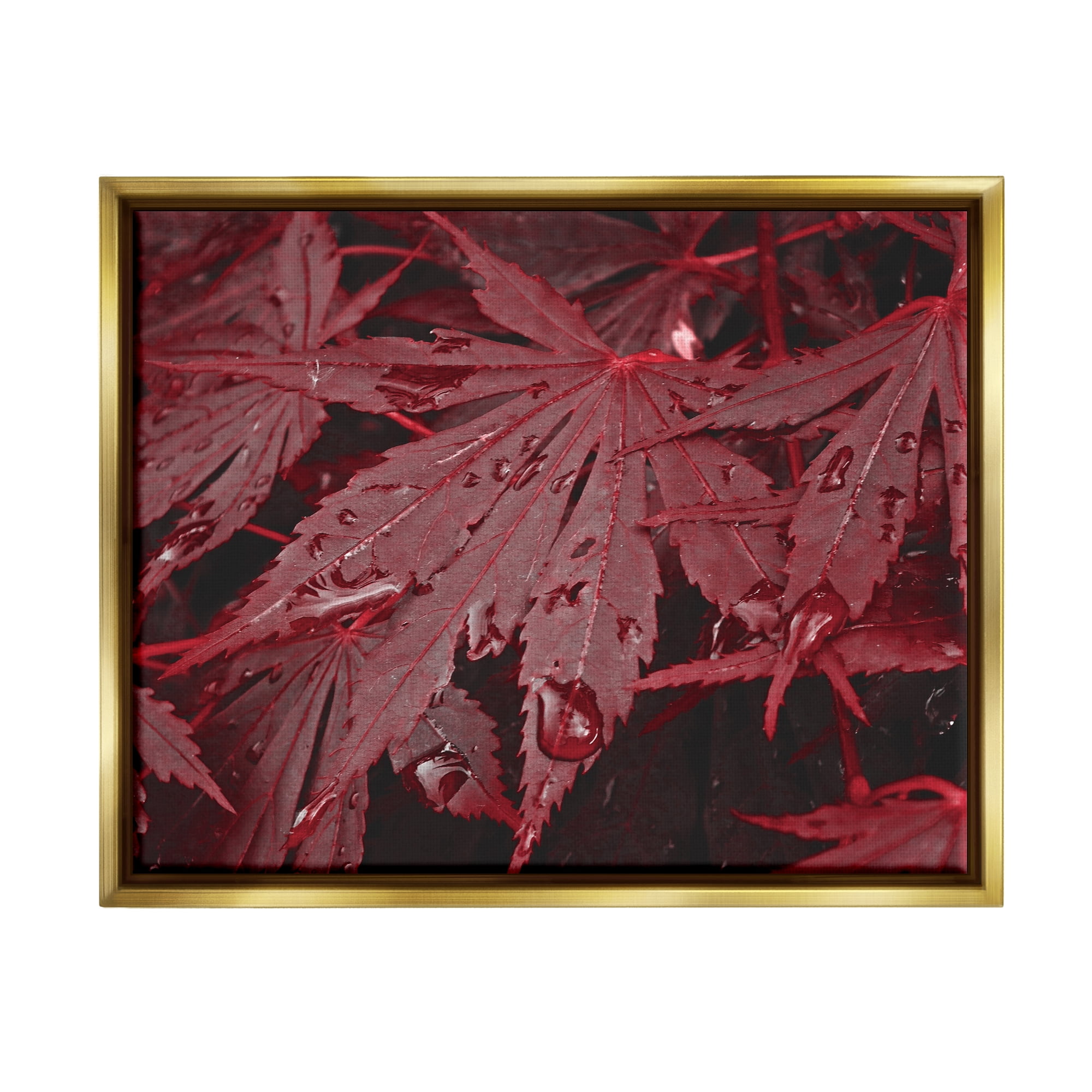 Stupell Industries Red Maple Leaves Botanical & Floral Photography Gold Floater Framed Art Print Wall Art, 31 x 25