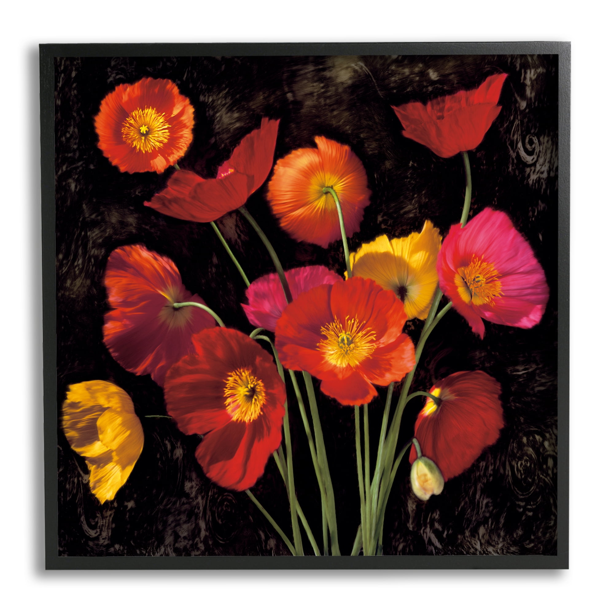 Stupell Industries Red Poppies Photography Botanical & Floral Photography Black Framed Art Print Wall Art, 12 x 12