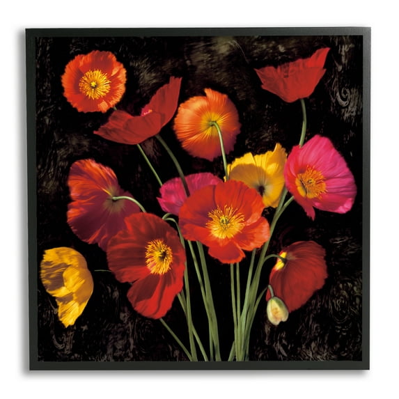 Stupell Industries Red Poppies Photography Botanical & Floral Photography Black Framed Art Print Wall Art, 17 x 17