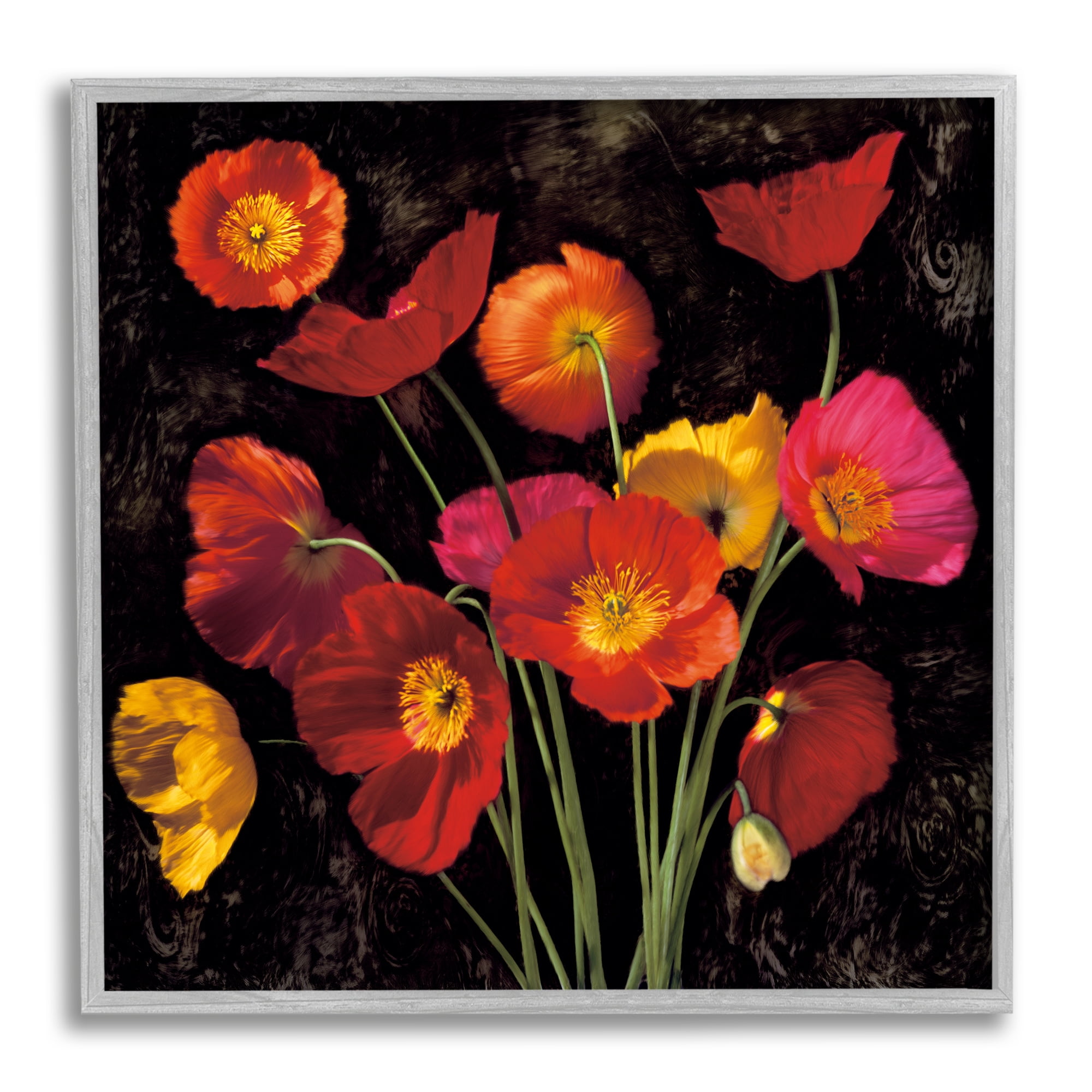 Stupell Industries Red Poppies Photography Botanical & Floral Photography Gray Framed Art Print Wall Art, 24 x 24