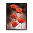 thumbnail image 1 of Stupell Industries Red Poppies Rising Vibrant Floral Blossoms Black Framed, 16 x 20, Design by Ziwei Li, 1 of 5