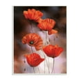 thumbnail image 1 of Stupell Industries Red Poppies Rising Vibrant Floral Blossoms Wall Plaque, 10 x 15, Design by Ziwei Li, 1 of 1