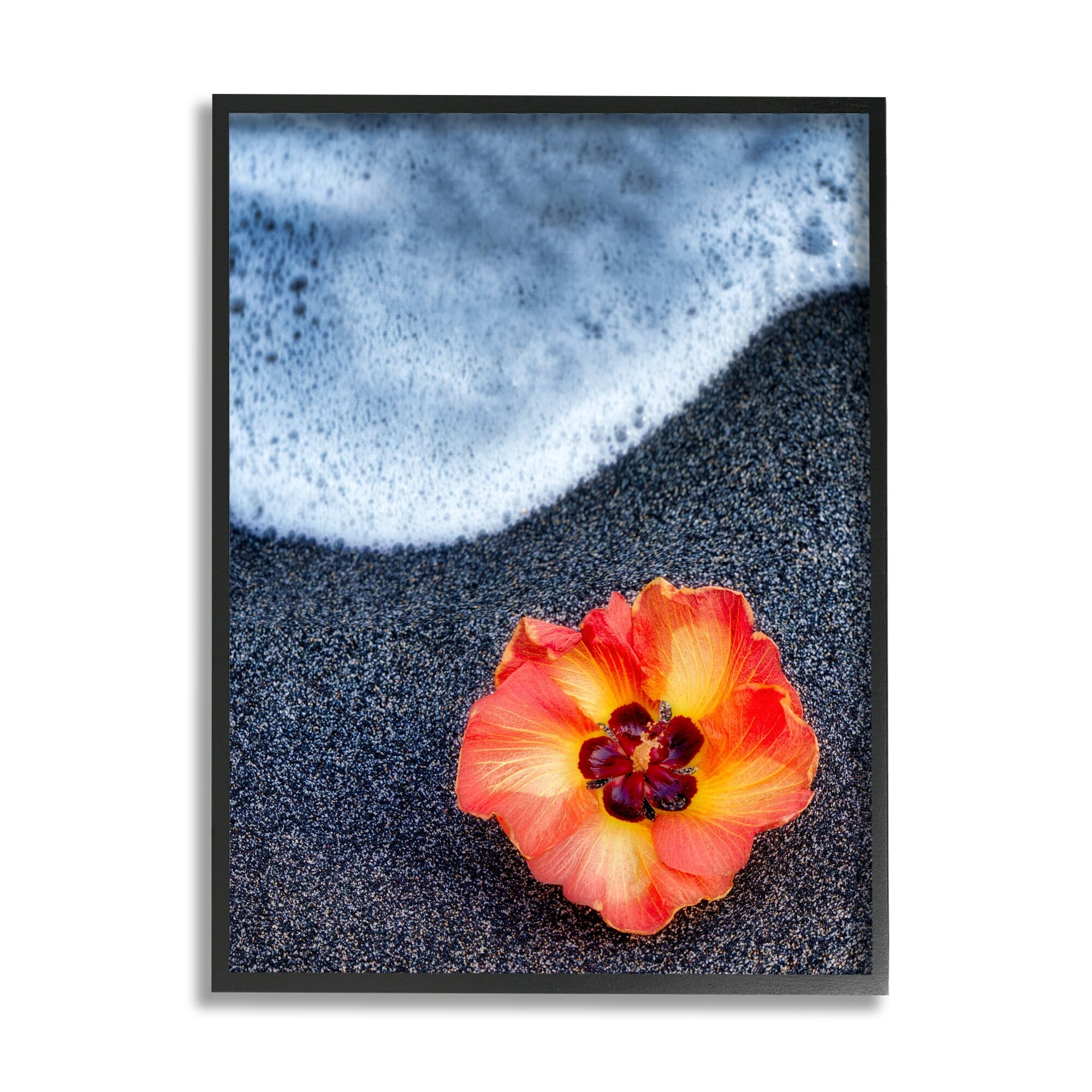 Stupell Industries Red Poppy Soothing Beach Foam Black Sand Photography , 11 x 14, Design by Dennis Frates