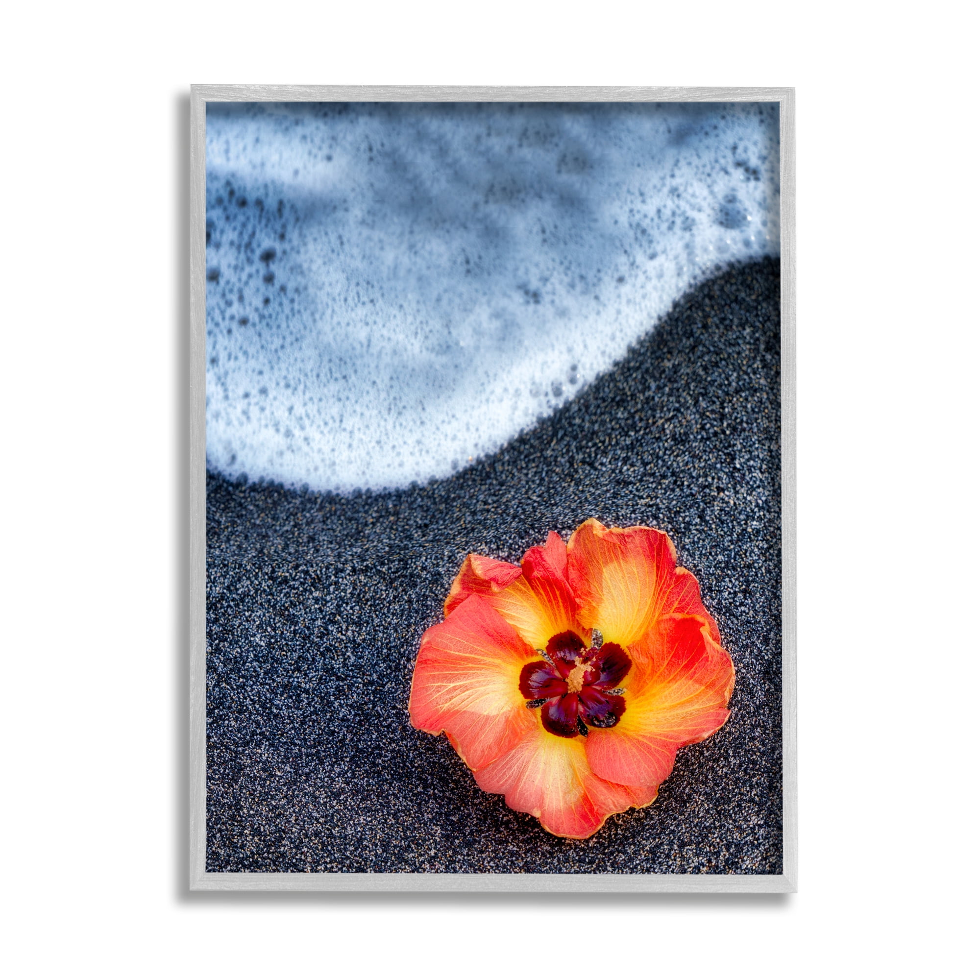 Stupell Industries Red Poppy Soothing Beach Foam Black Sand Photography , 24 x 30, Design by Dennis Frates