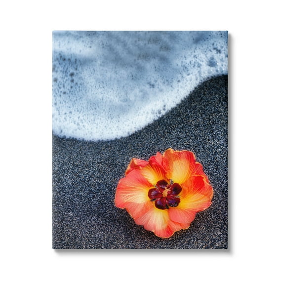 Stupell Industries Red Poppy Soothing Beach Foam Black Sand Photography Gallery-Wrapped Canvas Print Wall Art, 36x48, by Dennis Frates