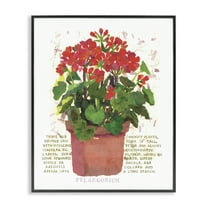 Stupell Industries Red Potted Geranium Botanical & Floral Painting Black Framed Art Print Wall Art, 11 x 14