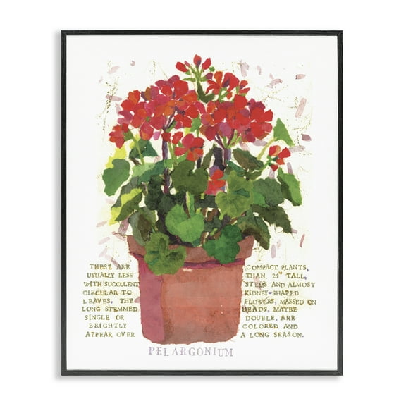 Stupell Industries Red Potted Geranium Botanical & Floral Painting Black Framed Art Print Wall Art, 11 x 14