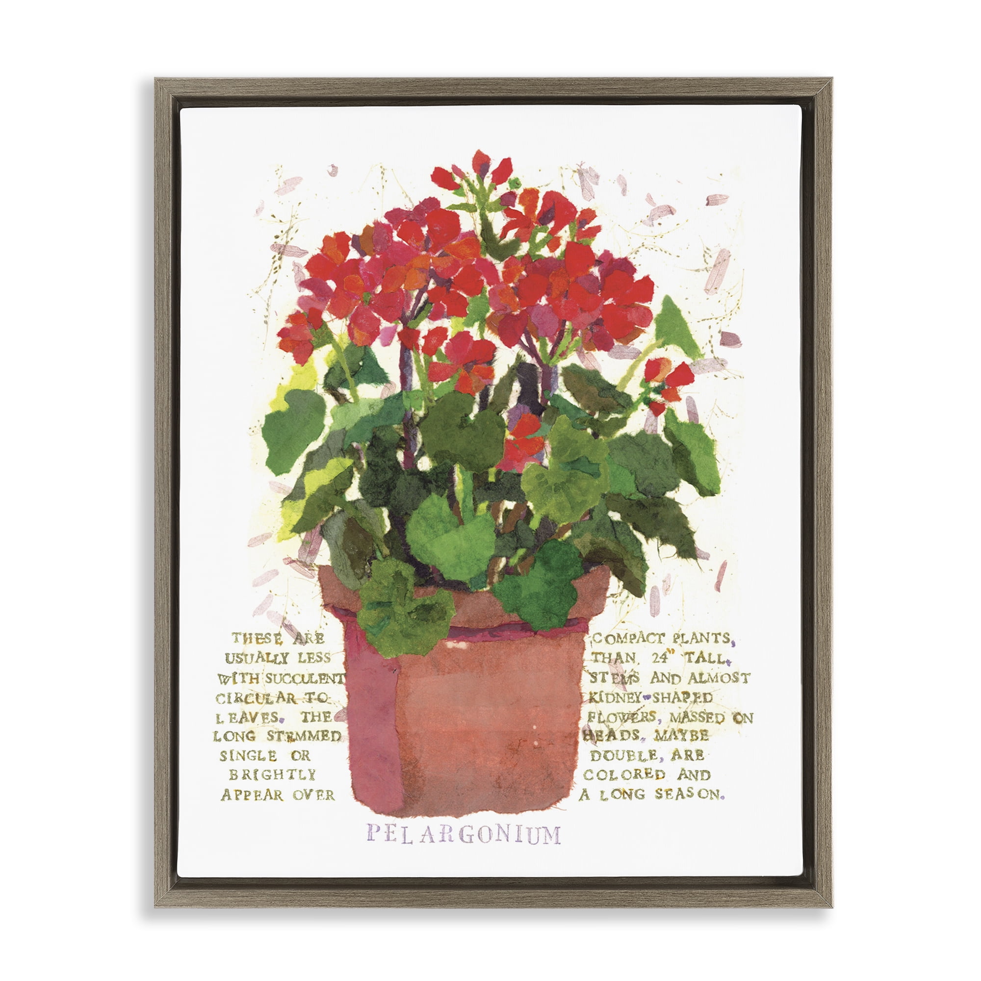 Stupell Industries Red Potted Geranium Botanical & Floral Painting Brown Floater Framed Canvas Art Print Wall Art, 17 x 21