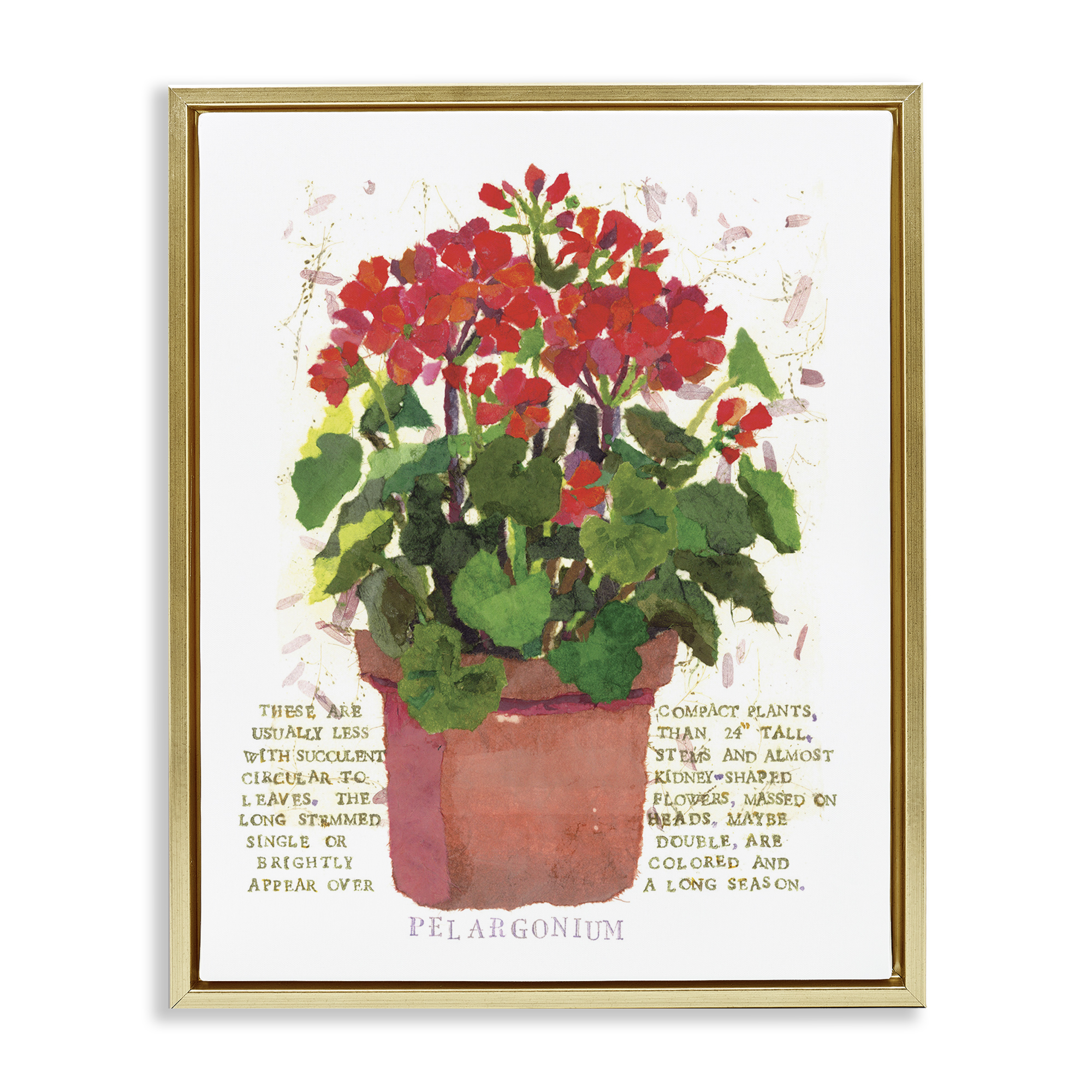 Stupell Industries Red Potted Geranium Botanical & Floral Painting Gold Floater Framed Canvas Art Print Wall Art, 17 x 21