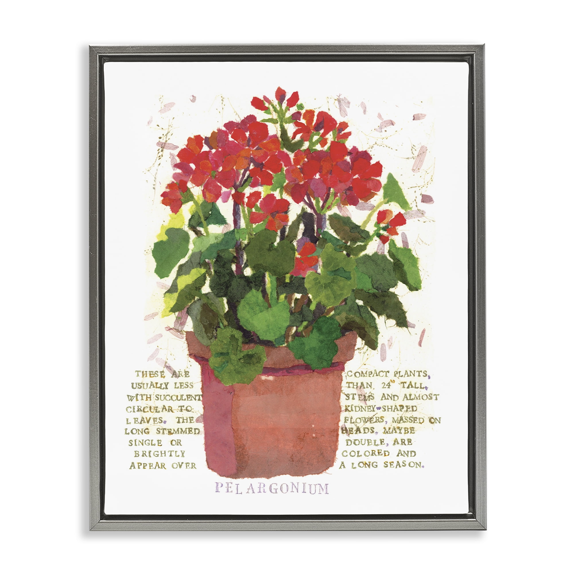 Stupell Industries Red Potted Geranium Botanical & Floral Painting Gray Floater Framed Canvas Art Print Wall Art, 25 x 31