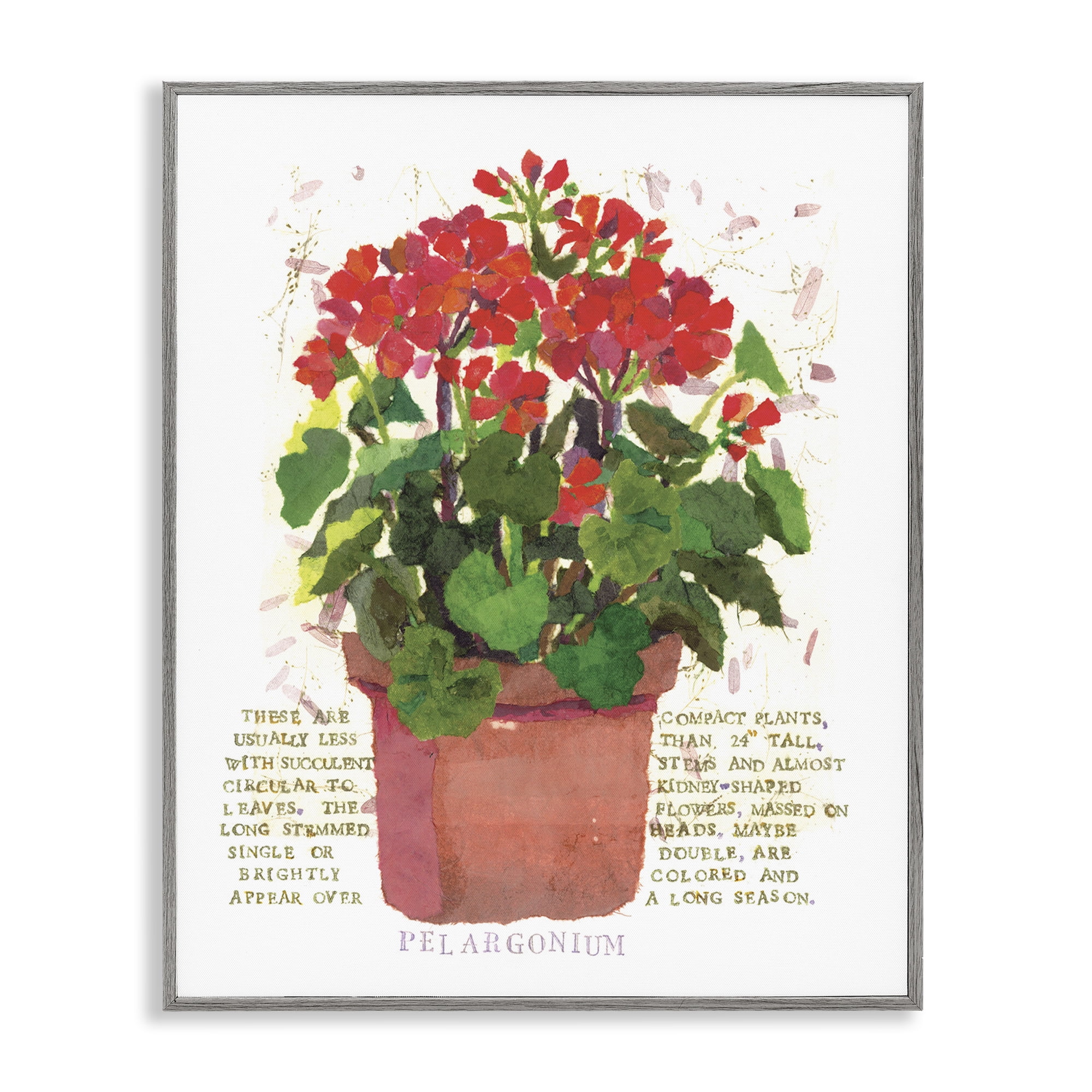 Stupell Industries Red Potted Geranium Botanical & Floral Painting Gray Framed Art Print Wall Art, 11 x 14