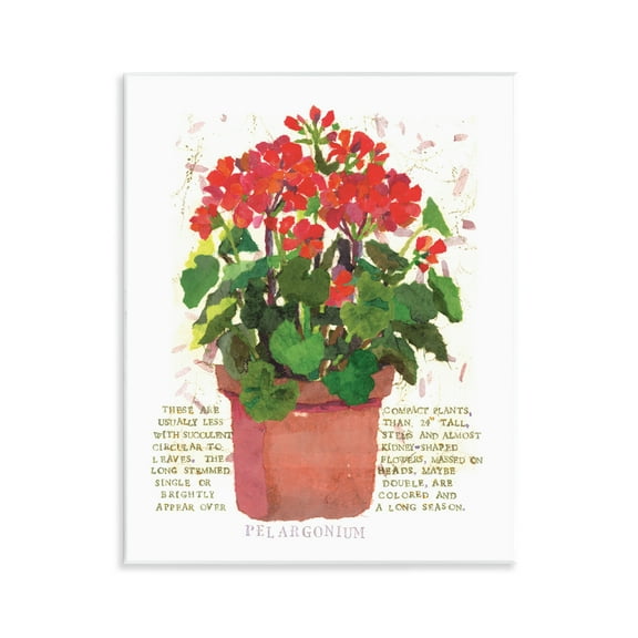 Stupell Industries Red Potted Geranium Botanical & Floral Painting Unframed Art Print Wall Art, 11 x 14