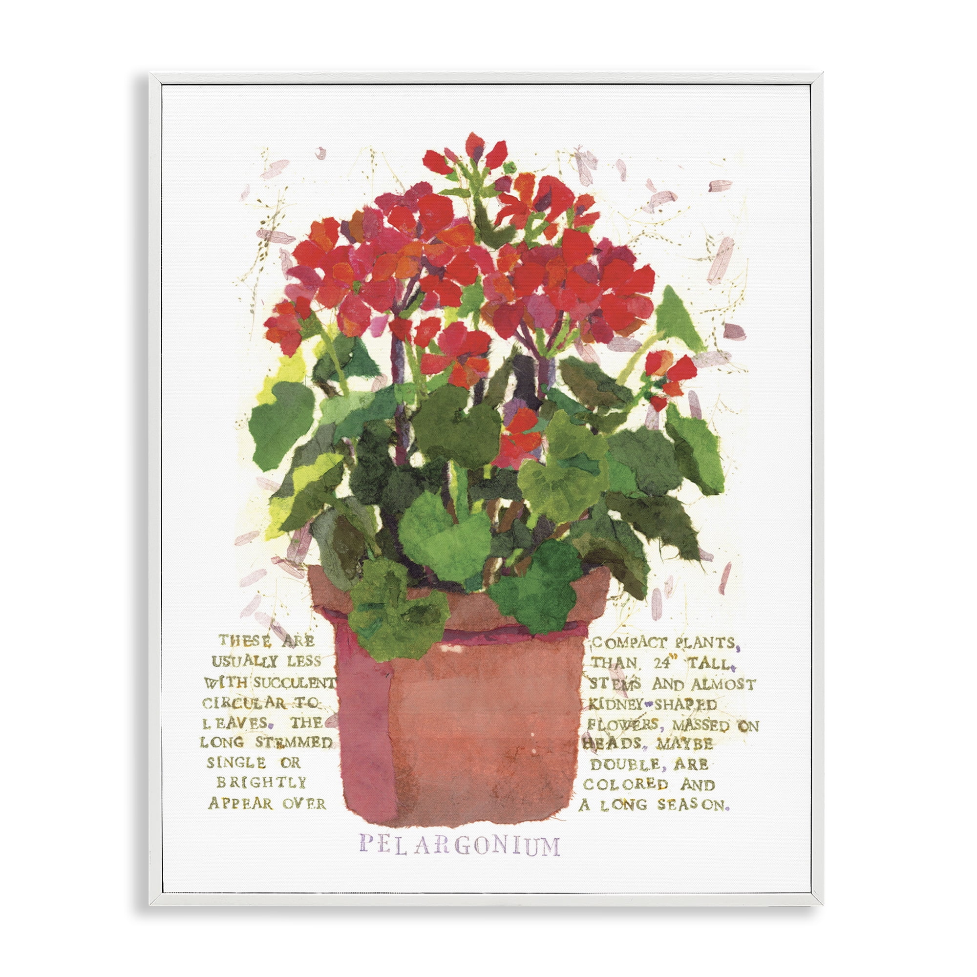 Stupell Industries Red Potted Geranium Botanical & Floral Painting White Framed Art Print Wall Art, 11 x 14