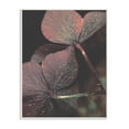 thumbnail image 1 of Stupell Industries Red Sparkle Petals Warm Tone Clover Detail Wall Plaque by Daphne Polselli, 1 of 5