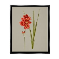 Stupell Industries Red Traditional Botanical Botanical & Floral Painting Black Floater Framed Canvas Art Print Wall Art, 17 x 21