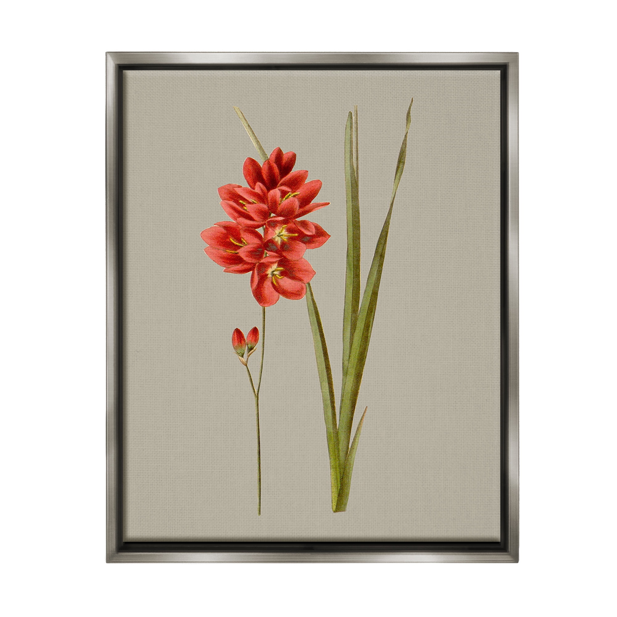Stupell Industries Red Traditional Botanical Botanical & Floral Painting Gray Floater Framed Canvas Art Print Wall Art, 17 x 21